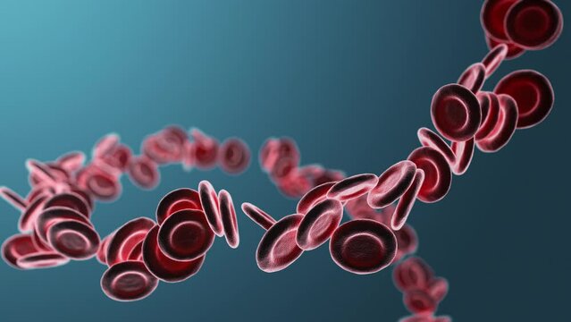 Close-up of red blood cells on a blue background. 3D rendering animation.