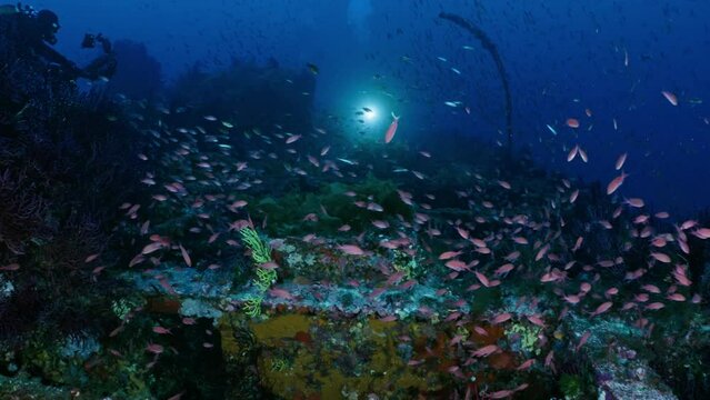 Wreck of the Donator on the Mediterranean Coast of France