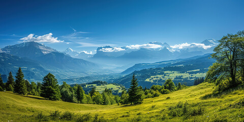 Swiss Alps mountain range with lush forest valleys and meadows, countryside in Switzerland landscape. Snowy mountain tops in the horizon, travel destination wallpaper background
