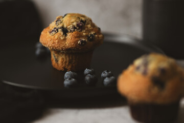 There is a cupcake and blueberries on a black plate. Breakfast concept