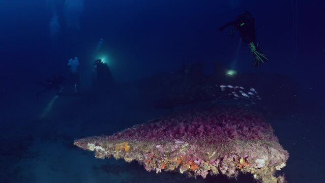 Wreck of the Hellcat on the Mediterranean Coast of France - Airplane