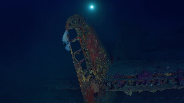 Wreck of the Hellcat on the Mediterranean Coast of France - Airplane