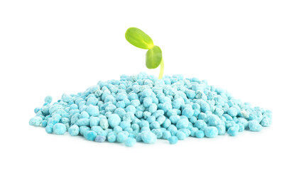 Green seedling growing from pile of blue granular fertilizer on white background