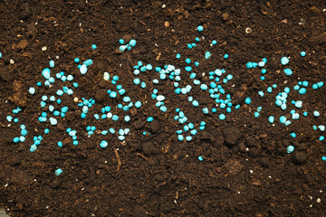 Brown soil with blue granular fertilizer