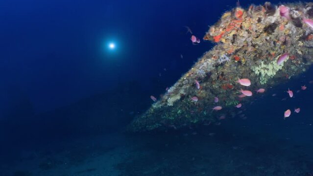 Wreck of the Hellcat on the Mediterranean Coast of France - Airplane