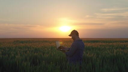 Farmer Businessman with laptop in her hands works in wheat field, communicates, checks harvest. Farmer at sunset with computer. Agronomist works. Agricultural business concept. Agricultural industry - obrazy, fototapety, plakaty
