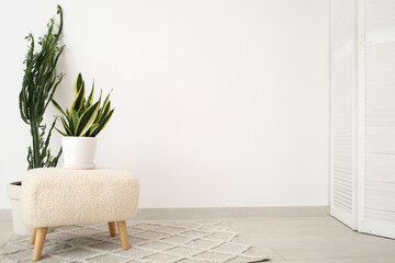 Cacti with soft pouf near white wall in room