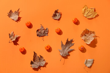 Autumn composition with dry leaves and pumpkins on orange background