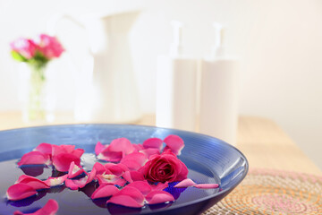 Pink roses and petals in bowl with water on table, closeup. Space for text