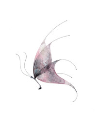 Watercolor butterfly isolated on transparent background. Abstract ethereal hand-drawn illustration blue purple insect