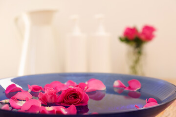 Pink rose and petals in bowl with water on table, closeup. Space for text