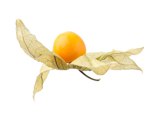 Ripe physalis fruit with calyx isolated on white
