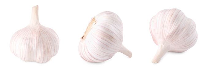 Fresh garlic bulbs isolated on white, set