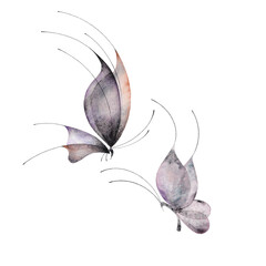 Watercolor butterfly isolated on transparent background. Abstract ethereal hand-drawn illustration blue purple insect - 728916598