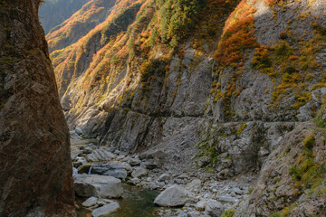 秋の峡谷