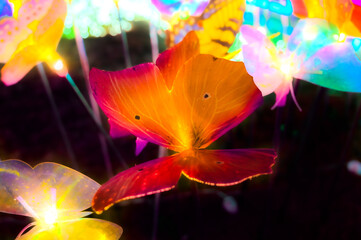 Butterfly shaped lights decorated in the garden at night in Chiang Mai Province
