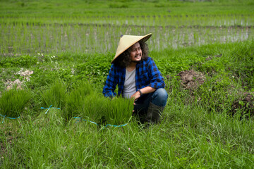 Naklejka na ściany i meble Asian farmers ready to plant rice. happy face of asian farmer. Rice seeds ready for planting