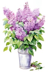 Naklejka na ściany i meble Bouquet of lilacs in a flower pot on a white watercolor background