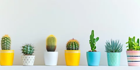 Poster Collection of cactus plants in different colorful pots. Potted house plants on white shelf at home © StockWorld