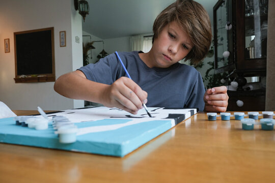A boy,  with long dark hair, draws a picture by numbers.