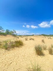 Afternoon Dune