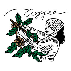 farmers picking coffee beans 