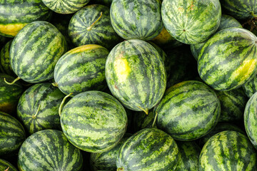 Many big sweet green watermelons at a market in Thailand