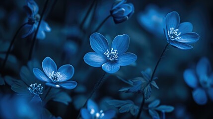 Blue flowers in the dark with a blurred effect create a mysterious and enchanting scene, Ai Generated.