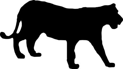 Walking black lion silhouette png concept with beautiful mane and tail isolated illustration transparent