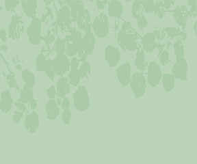 Green Wallpaper with Leaf Shadow, Leaf Overlay, Soft Leaf Background