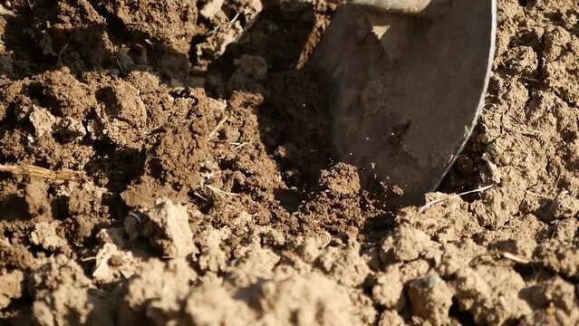 Steel Hoe Dig on Plain Soil, Close Up