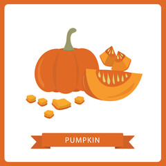 Pumpkins vector, Pumpkin isolated on white. Vector illustration