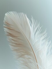 Trendy vertical Quiet Background with Feather Close-up, AI generate