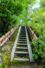 Japanese style garden stone step staircase.