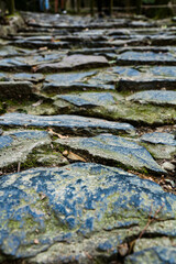 Old stone stairs in park in Nara Japan.