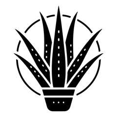 Aloe Vera plant icon vector silhouette, white background
