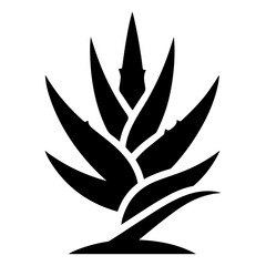Aloe Vera plant icon vector silhouette, white background