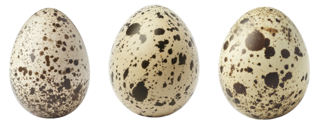 Set of delicious quail eggs cut out