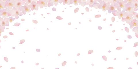 桜と桜の花びらの水彩画イラスト背景 - obrazy, fototapety, plakaty