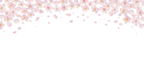 桜と桜の花びらの水彩画イラスト背景
