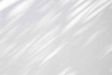 Obraz premium Abstract natural tree leaves shadow on white wall background
