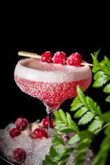 cocktail with cranberries  on ice
