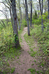 Meandering Pathway