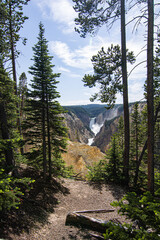 Yellowstone Falls