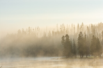 Morning Mist Horizontal