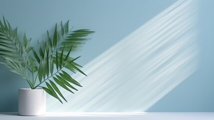 Tropical palm leaves in a white vase on a blue background with natural sunlight in the morning.