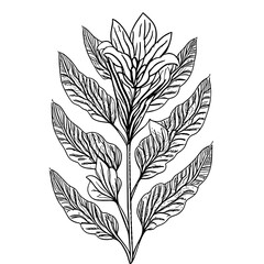 Fototapeta premium Botanic lineart with transparent background