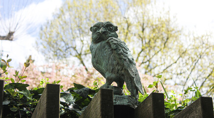 a bird in the garden sits on a wooden fence
