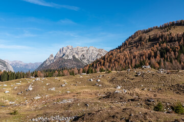 Golden colored alpine meadows and forest in autumn. Scenic view of majestic mountains of Carnic Alps in Sauris di Sopra, Friuli Venezia Giulia, Italy. Serene tranquil atmosphere in Italian Alps. Hike