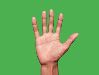 Hand raised with all 5 fingers extended. Hand signals showing symbols Hand with 5 fingers open, green background.hand on the background.